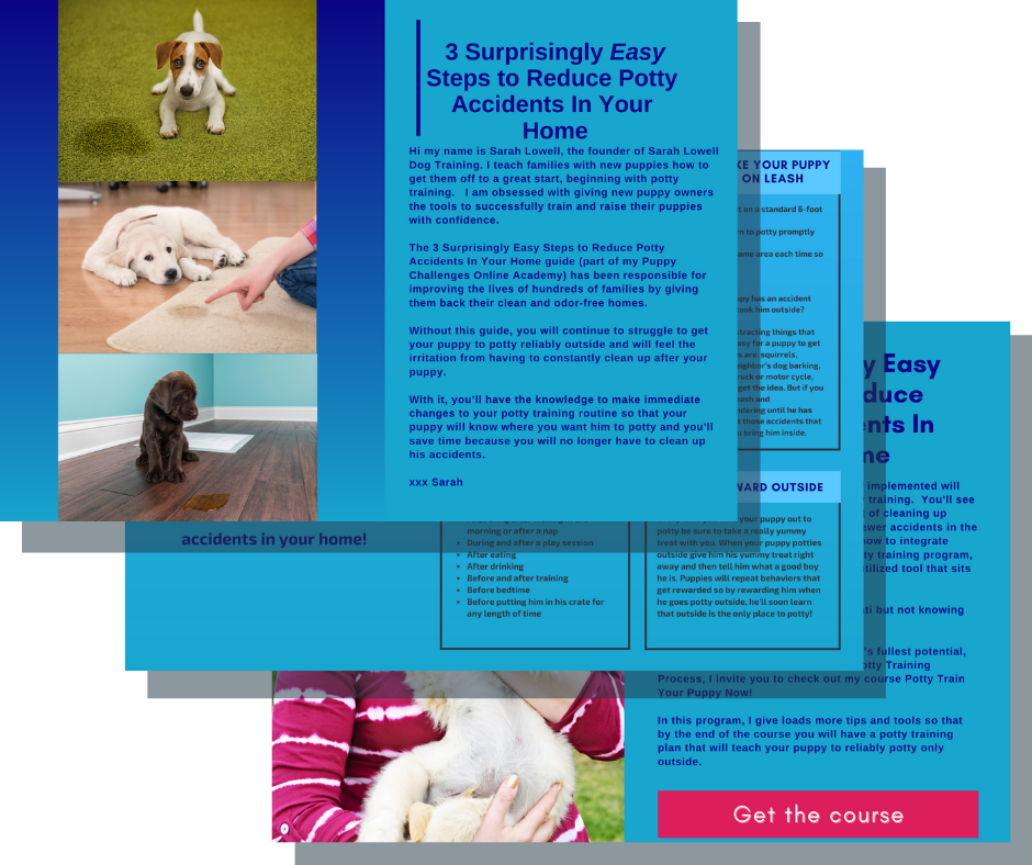 puppy training program pdf